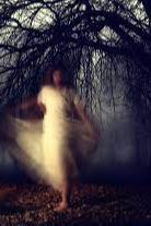 Nữ Chính Có Hệ Thống Tìm Đường Chết